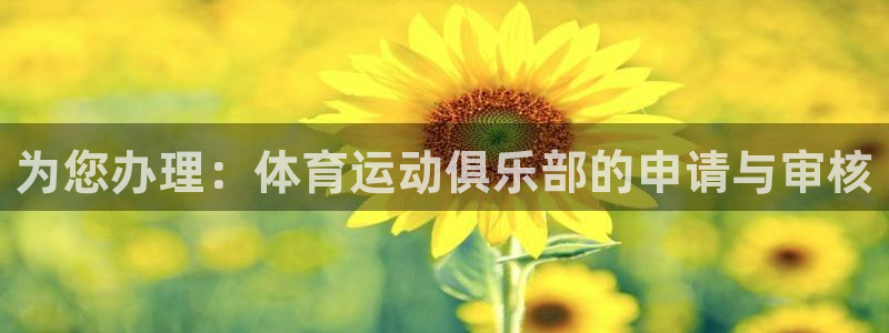 为您办理：体育运动俱乐部的申请与审核
