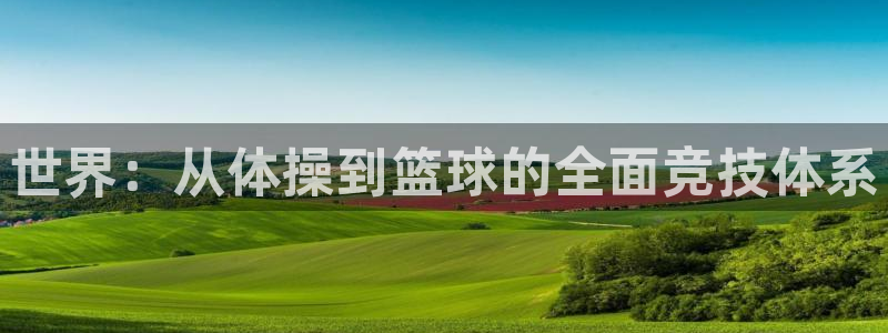 世界：从体操到篮球的全面竞技体系