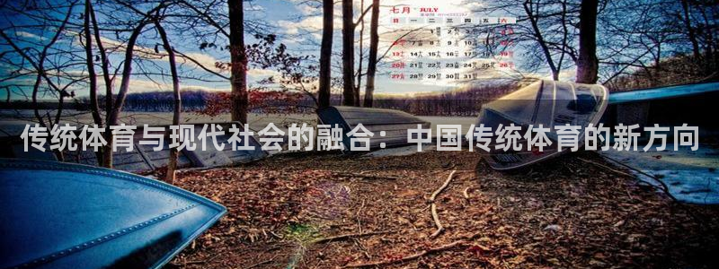 传统体育与现代社会的融合：中国传统体育的新方向