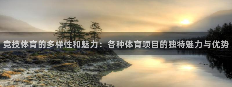 竞技体育的多样性和魅力：各种体育项目的独特魅力与优势