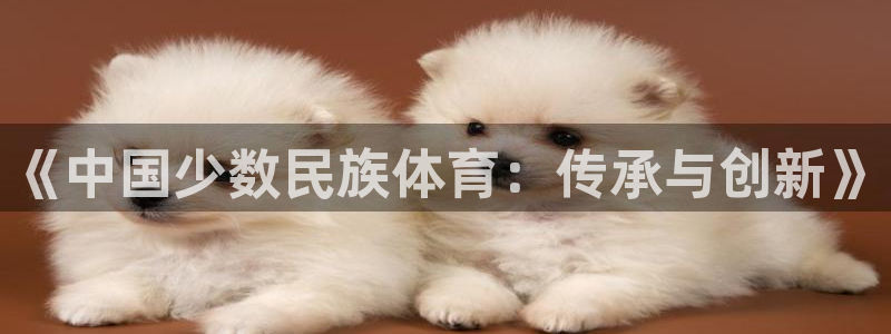 《中国少数民族体育：传承与创新》