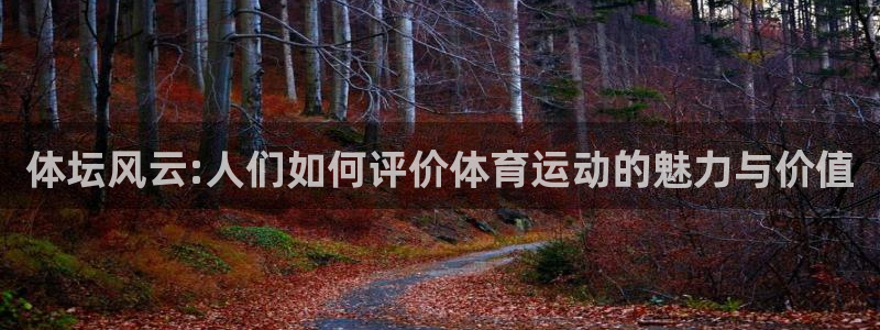 体坛风云:人们如何评价体育运动的魅力与价值