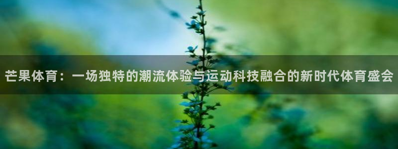 芒果体育：一场独特的潮流体验与运动科技融合的新时代体育盛会